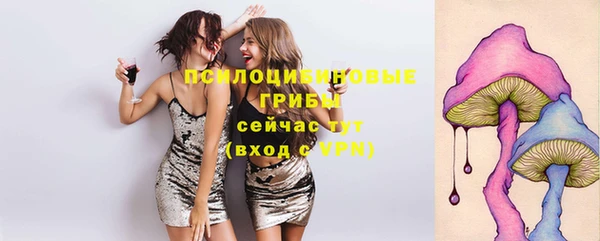 тгк Алзамай