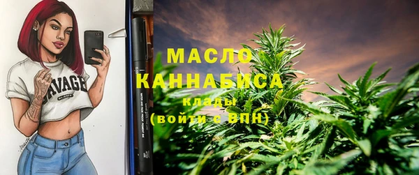 тгк Алзамай