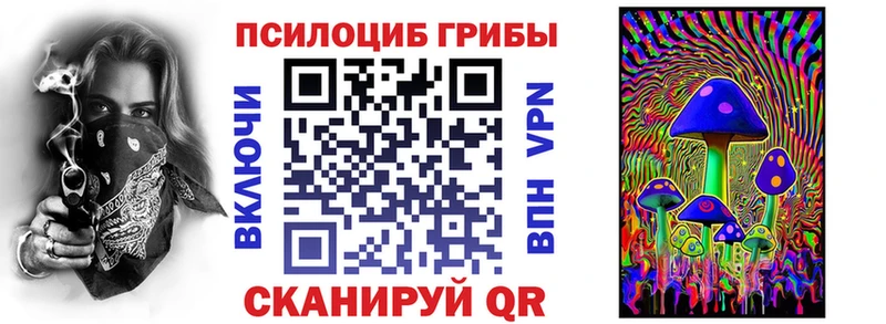 Купить  Ахтырский  Псилоцибиновые грибы прущие грибы 