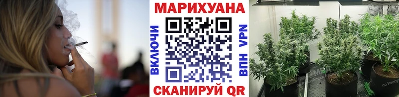 Купить где  Ахтырский  МАРИХУАНА ГИДРОПОН 